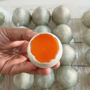 telur