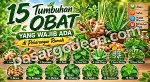 obat