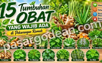 obat